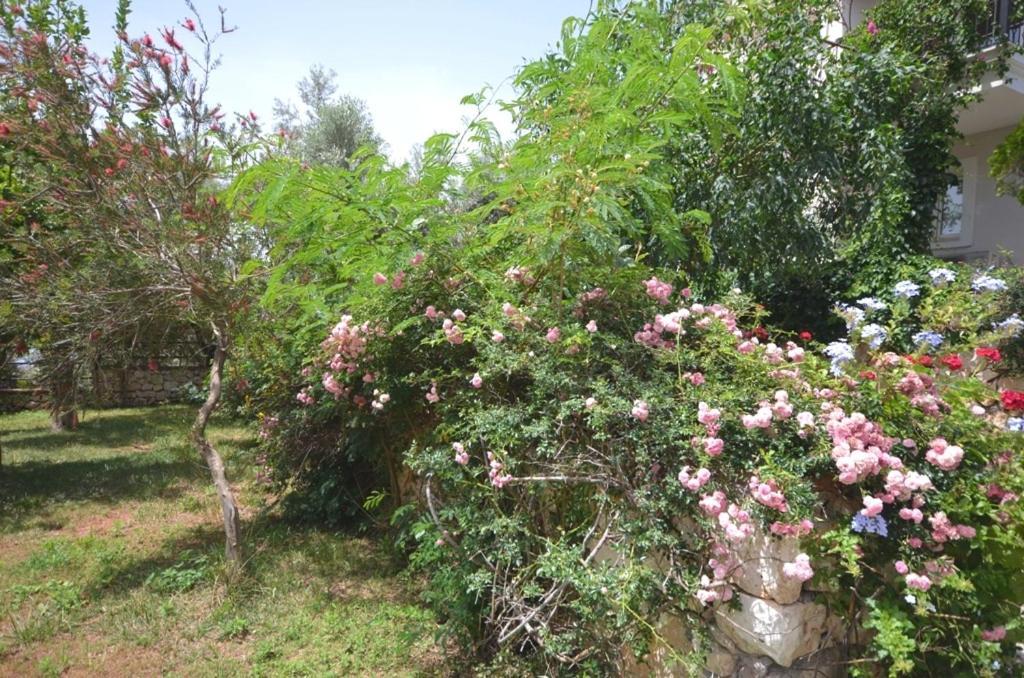 Villa Leton Kleo - Kalkan Center Dış mekan fotoğraf